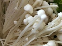 -陈阿婆重庆绿色鱼火锅