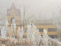 -天鹅湖生态旅游风景区