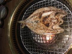-茶六烧肉堂 博爱店