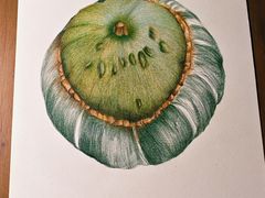 -八哥美术·成人美术画室(总校区)