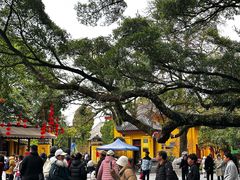 -桂林独秀峰王城景区