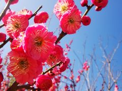 -天鹅湖体育公园