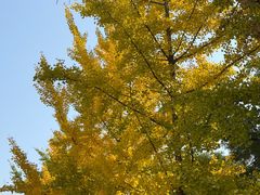 -海关荤豆花(洋河一路店)