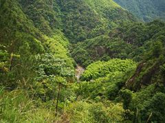 -泽雅七瀑涧景区