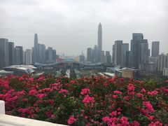 -莲花山公园