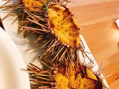 -海胆小馆(东北水饺·春柳店)