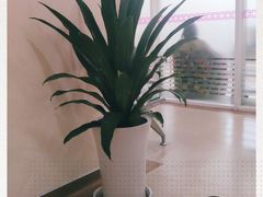 -西安市第四医院医学验光配镜中心