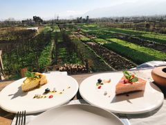 -翠田Green Field Kitchen