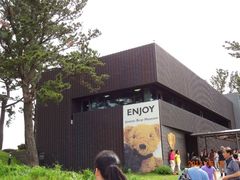 -济州岛泰迪熊博物馆