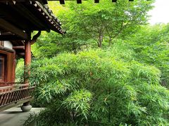 -中国茶叶博物馆(双峰馆区)