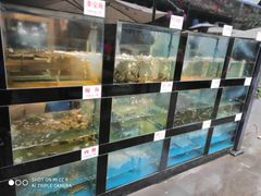 水产区-院8里·少城记忆老川菜(宽窄巷子店)