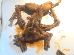 -宽口美蛙鱼头(大唐西市店)
