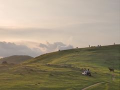 -大姆山草场