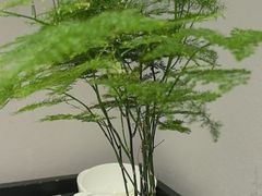 -一江水食府(后湖店)