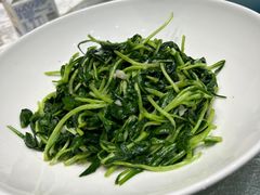 -丁老爷子苏香圆