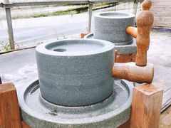 -前小桔亲子创意农场·草莓采摘·露营烧烤