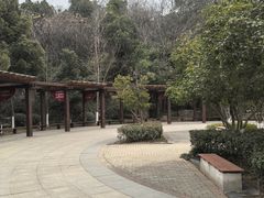 -太子山公园(园东路)