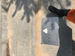 -五龙城郊森林公园