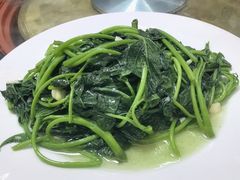 清炒地瓜梗-聪辉同安老美食饭店(大元路店)