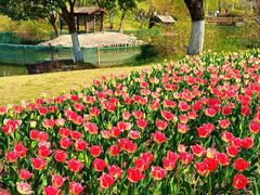 -杭州师范大学(下沙校区)