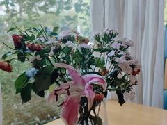 -山茶云南菜(中关村店)
