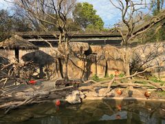 -上海野生动物园