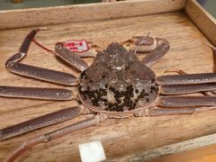 -蟹道乐(道顿堀本店)