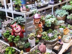 -双季花艺园艺市场(浦东店)