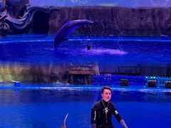 -华夏文旅海洋公园