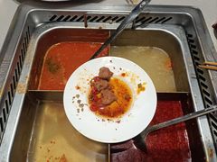 -海底捞火锅(吾悦广场店)