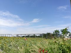 -光明小镇欢乐田园