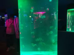 -苏州海洋馆