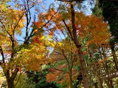 -庐山风景区花径公园