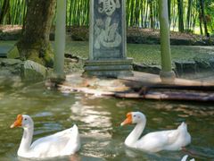 -兰亭风景区