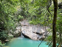 -广州白江湖森林公园