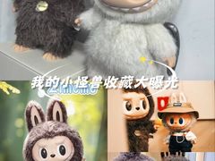 -泡泡玛特POPMART(柏威年购物中心店)
