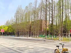 -同济大学(沪西校区)