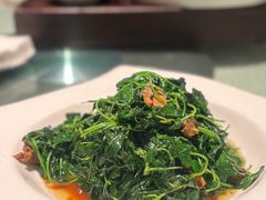 -松鹤楼(山塘街店)