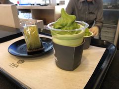 -雪绿茶博物馆
