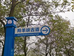 -羚羊峡古栈道森林公园