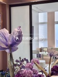 -蘭FACE·海菲秀飞顿Med SPA