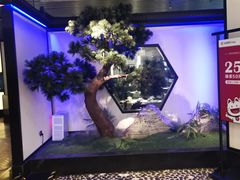 -绿茶餐厅(成都大悦城店)