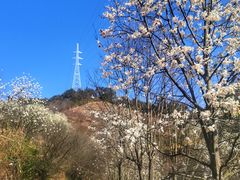 -溪口-滕头旅游景区