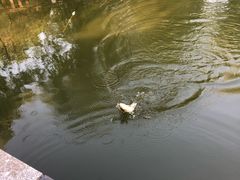 -酷鱼垂钓CLUB(朝阳区博大路店 )