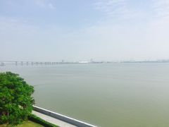 -大湾区中央湿地公园