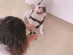 -瑞派宠物医院·中兽医专科(中央商城分院)