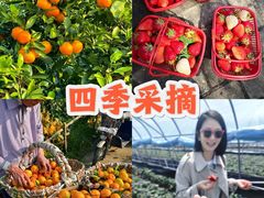 -上海山野camping·户外天幕烧烤·团建拓展营地