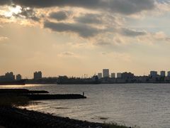 -上海滨江森林公园