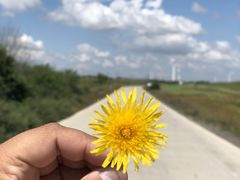 -草原天路(张北县)