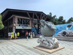 -广东惠东海龟国家级自然保护区